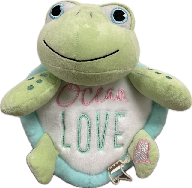 Big Eye Plush Turtle