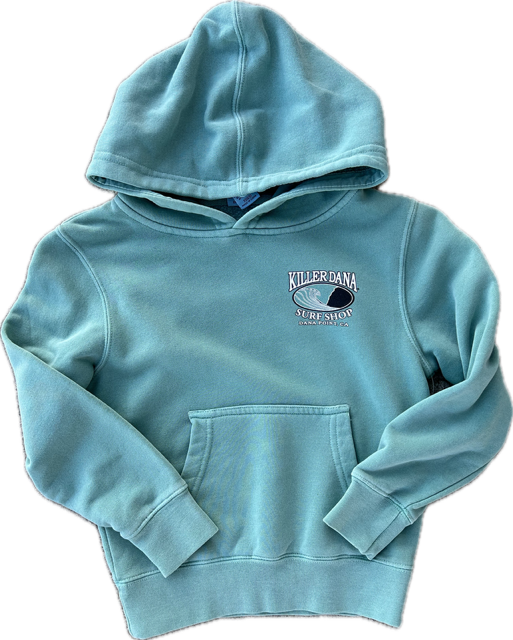 Youth Wave Logo Fleece Hoodie Mint